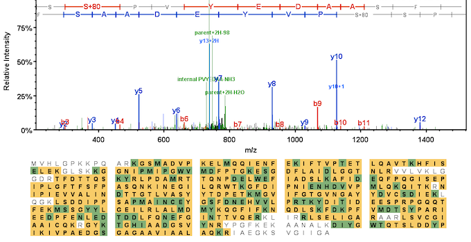 Proteomics